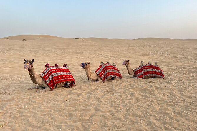 Dubai Red Desert Safari on Private 4x4, Sand Boarding, Camel 4hrs - Who should book this desert outing