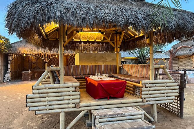 Dubai Red Desert Safari sharing basis with Camel, Shows & Dinner - Buffet dinner and live evening shows