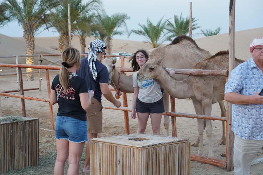 Dubai: Red Dune Desert Safari, Quad Bike, Camels, and BBQ - BBQ dinner, Arabic coffee, and camp comforts