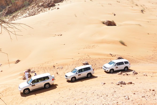 Dubai Red Dune Safari, ATV Quadbiking 10 mins, BBQ, shows - Reaching Lahbab from central Dubai