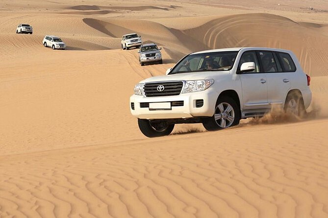 Dubai Red Dune Safari with BBQ Dinner and Live Shows - Key points to know before booking