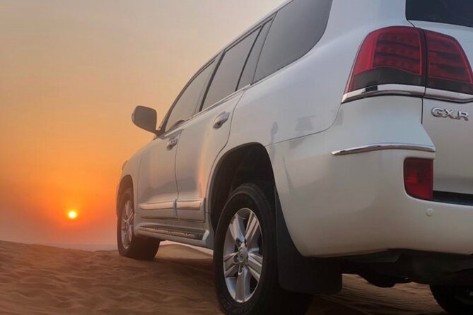Dubai Red Dunes Afternoon Desert Safari with Camel Ride - Key points to know before you book
