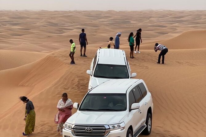 Dubai Red Dunes Afternoon Desert Safari with Camel Ride - The camel ride and desert traditions