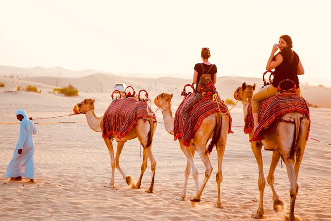 Dubai Red Dunes Desert Safari, With BBQ, Camel Ride, Sand Boarding And Much More - Belly dancing, tanura, and the fire show
