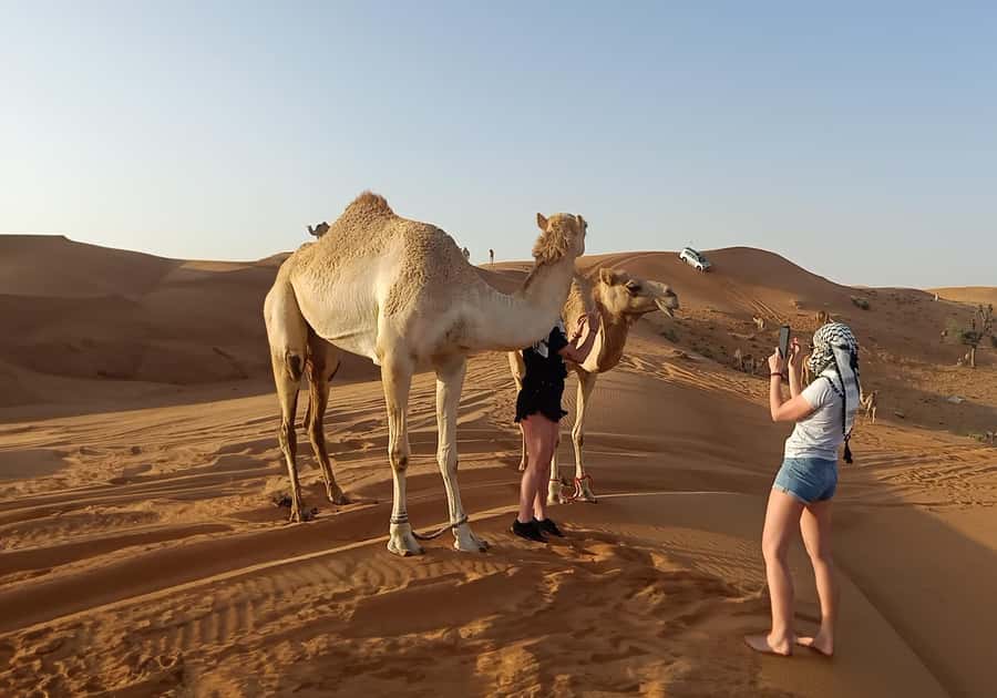 Dubai: Red Dunes Desert Safari with Premium Camp BBQ & Shows - Leaving Dubai for the Lahbab red dunes