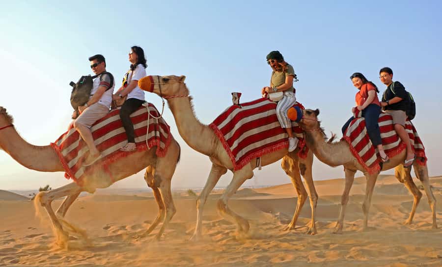 Dubai: Red Dunes Quad Bike with Sandboarding, Camels and BBQ - BBQ dinner, drinks, and a busy entertainment program