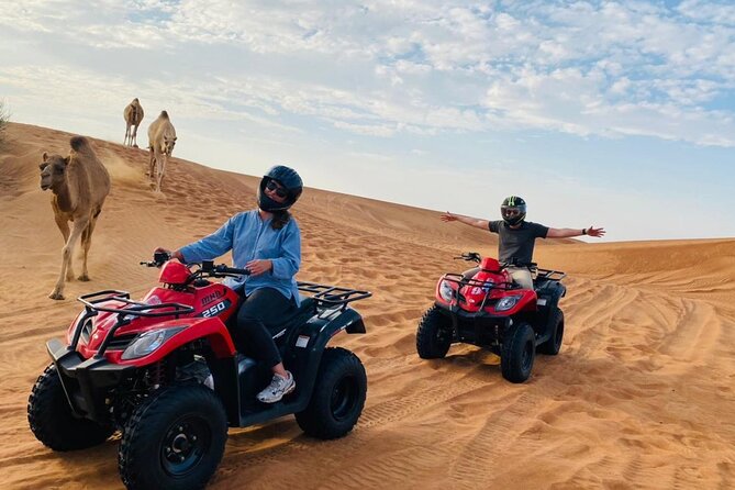 Dubai Red Dunes Safari, ATV, Camel ride, BBQ at Desert Camp - Timing, comfort, and practical advice