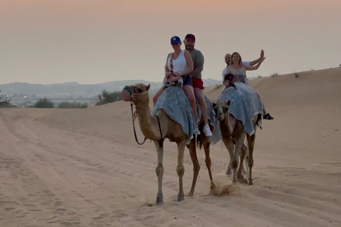 Dubai Red Dunes Safari, Camel Ride & Live BBQ - Sandboarding gives you a hands-on desert activity