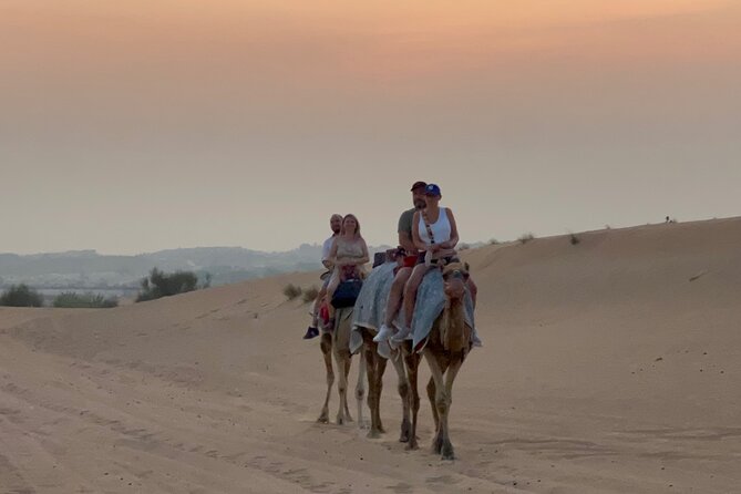 Dubai Red Dunes Safari, Camel Ride & Live BBQ - ATVs are tempting, but budget separately