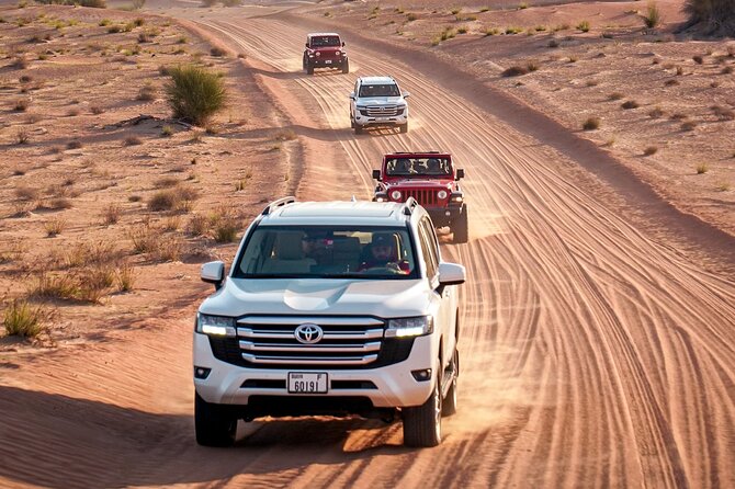 Dubai Red Dunes Safari: Dune Bashing, Camel Ride & Breakfast - Hotel pickup and the ride into protected desert