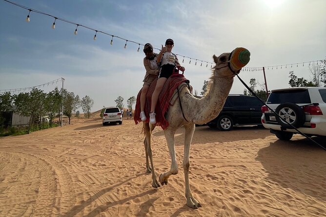 Dubai: Red Dunes, Sandsurf, Camel Ride, BBQ Dinner at Desert Camp - A short camel ride and desert camp arrival