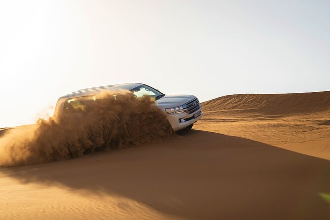 Dubai Red Dunes with Sandboarding, Camel Ride, Falcon & VIP Camp - Who will enjoy this Dubai safari most