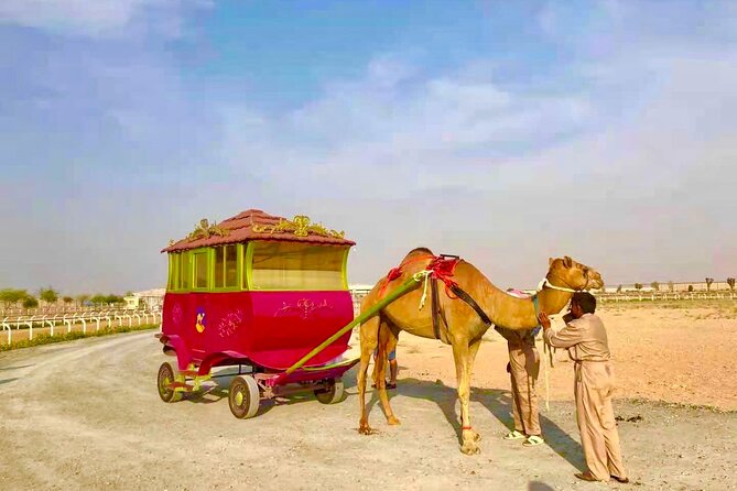 Dubai Royal Camel Race with Prime Seats & Short Camel Ride - The optional buggy ride and remote jockey race
