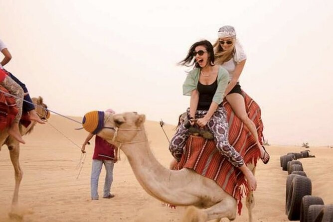 Dubai Royal Camel Race with Prime Seats & Short Camel Ride - Is $26 good value?