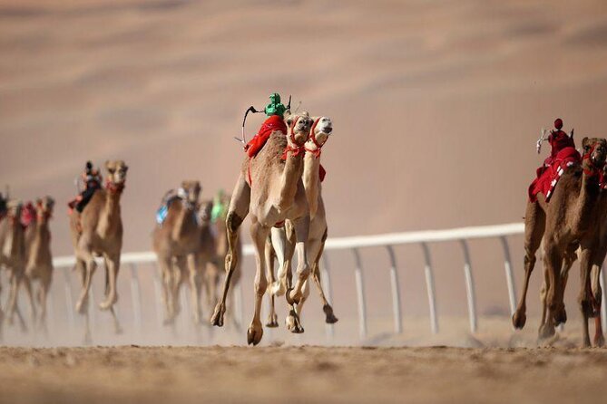 Dubai Royal Camel Race with Prime Seats & Short Camel Ride - What the one-hour visit includes