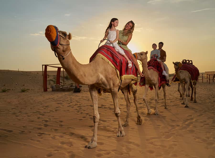 Dubai’s Best Desert Safari: Live Show & Gourmet BBQ Dinner - Quad bikes and dune buggies: check your ticket carefully