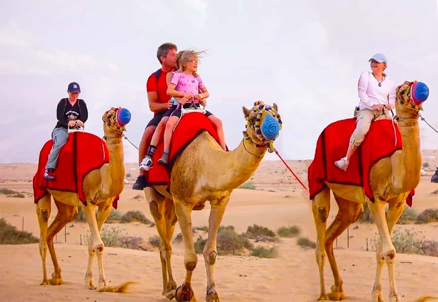 Dubai: Safari, Quad Bike, Camel Ride, and Buffet Dinner - Red dunes and the main 4WD ride