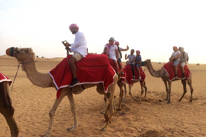 Dubai: Sandboarding, Camel Ride and Red Dune Bashing Safari - Sandboarding for beginners and confident sliders