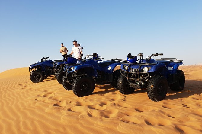 Dubai: Sandboarding, Camel Ride and Red Dune Bashing Safari - The camel ride: keep your expectations modest