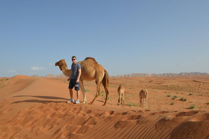 Dubai Self-Drive 4WD Desert and Dune Bash Safari - Why this is different from a standard Dubai safari