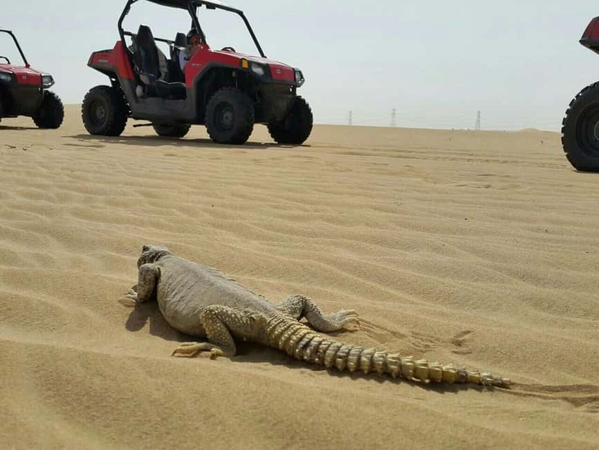 Dubai: Self-Drive Dune Buggy Safari with Pickup and Drop-Off - At a Glance: What Makes This Desert Ride Different