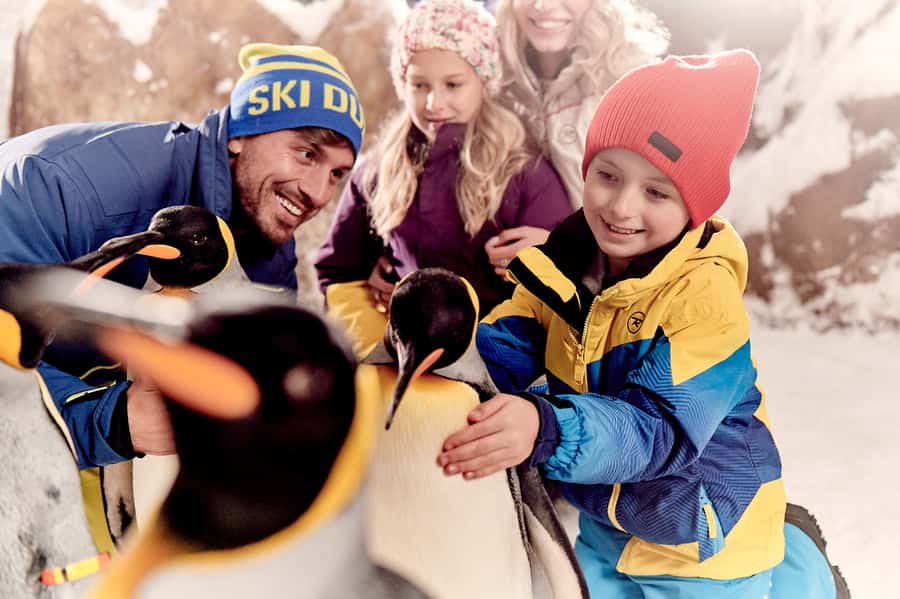 Dubai: Ski Dubai Snow Park Classic Pass - The chairlift and the indoor snowy view