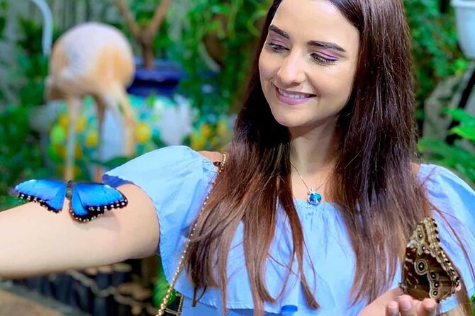 Dubai: Skip-The-Line Ticket to Butterfly Garden - Why skip-the-line entry can be useful