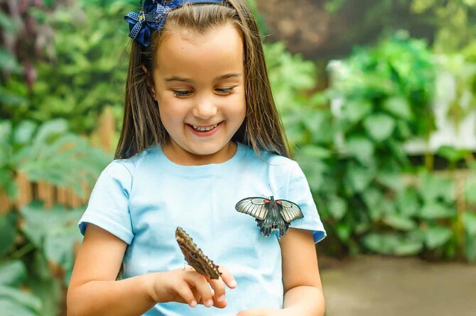 Dubai: Skip-The-Line Ticket to Butterfly Garden - Timing, opening hours, and practical planning