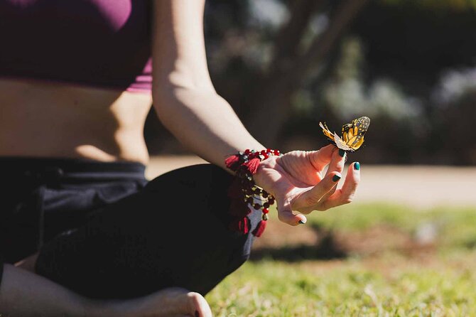 Dubai: Skip-The-Line Ticket to Butterfly Garden - A realistic look at the highlights