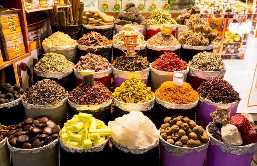 Dubai Stopover Tour & Transit Tours - What the guides add to a fast tour