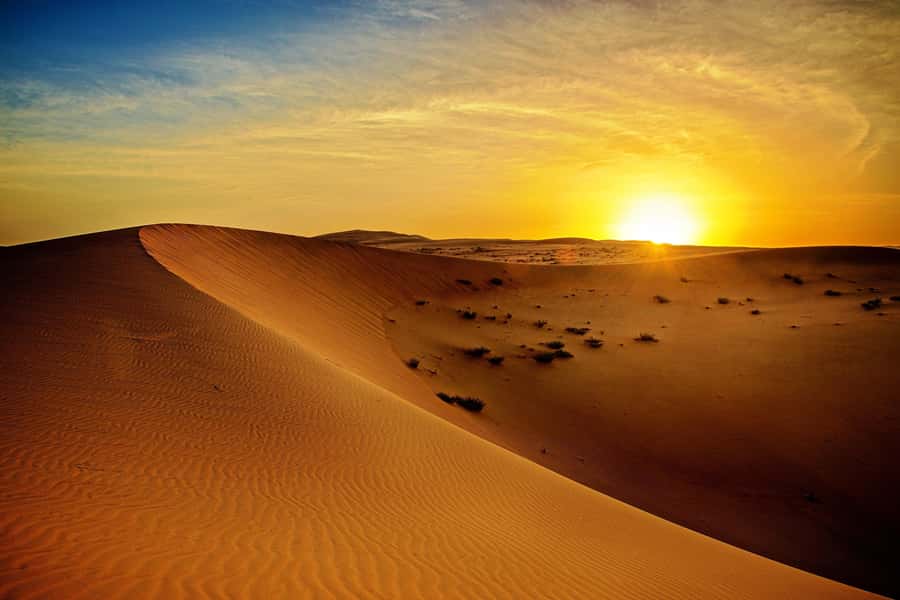 Dubai: Sunrise Desert Jeep Safari with Wildlife Experience - Why the 4 AM start is worth considering
