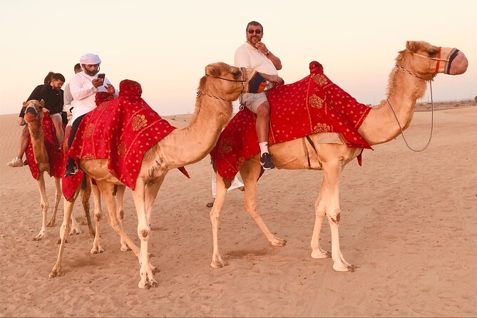 Dubai Sunrise Desert Safari Red Dune Camel Falcon & Sandboarding - What the $34.89 price really covers