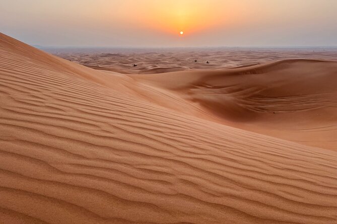 Dubai Sunrise Desert Safari Red Dune Camel Falcon & Sandboarding - Who will enjoy this four-hour desert trip most