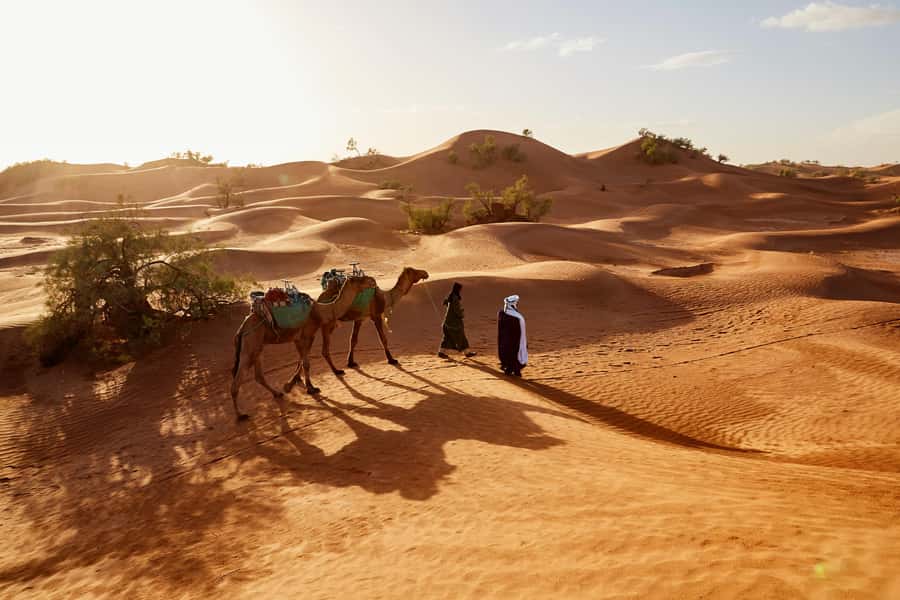 Dubai: Sunrise Hot Air Balloon Tour with E-Certificate - Leaving Dubai before sunrise