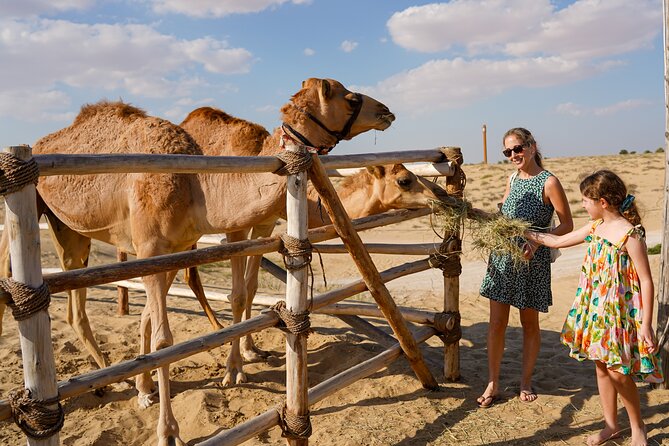 Dubai: Sunset Camel Trek, Al Khayma Camp, Stargazing & BBQ - Dinner under the desert sky