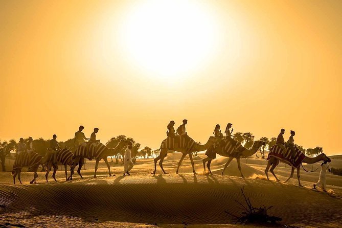 Dubai Sunset Camel Trekking with Shows & BBQ Dinner - Key points to know before booking