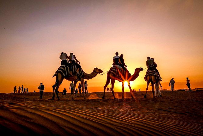 Dubai Sunset Camel Trekking with Shows & BBQ Dinner - Who will enjoy this six-hour evening