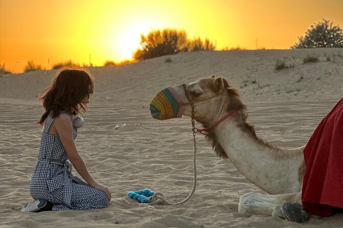 Dubai Sunset Red Dune Desert Safari, Sandboarding and Camel Ride - The Guides Can Shape the Whole Day
