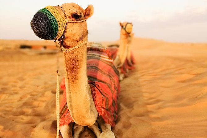 Dubai Super Saver: Desert Camp Experience by 4x4 and Dhow Dinner Cruise - Transport, group size, and comfort