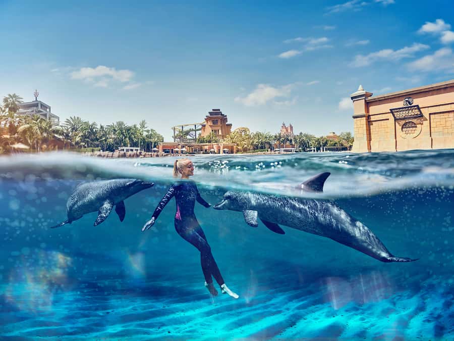 Dubai: Swim with Dolphins at Atlantis Waterpark - Key points at a glance