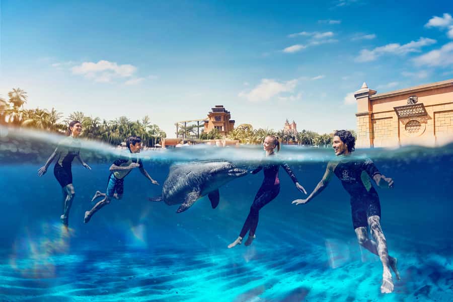 Dubai: Swim with Dolphins at Atlantis Waterpark - What the $225 experience actually includes