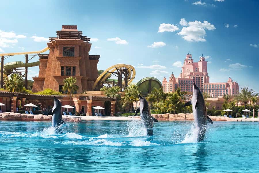 Dubai: Swim with Dolphins at Atlantis Waterpark - Arriving at Atlas Village and getting ready