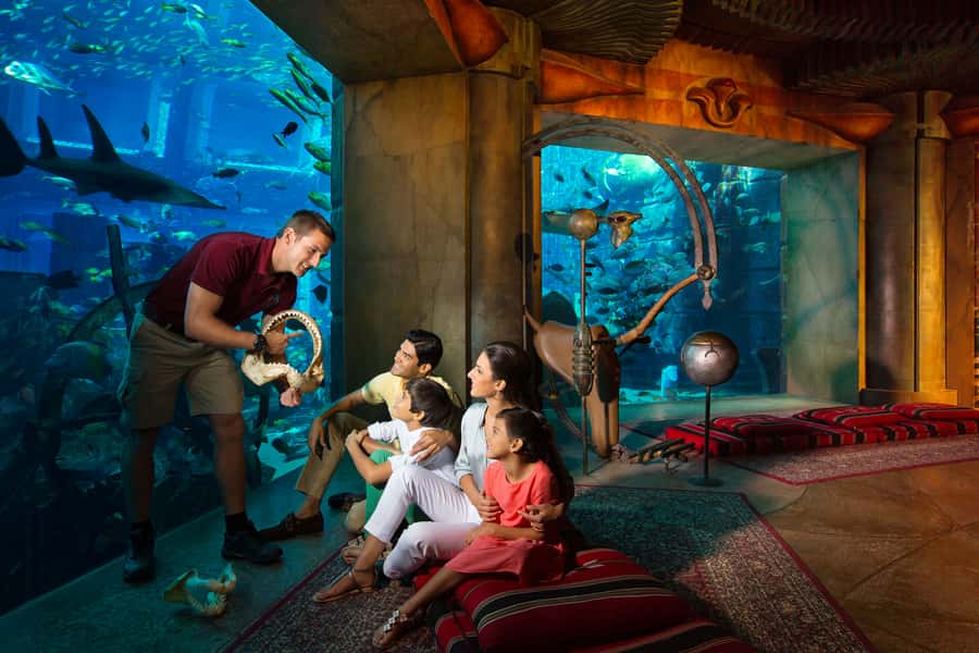 Dubai: The Lost Chambers Aquarium Atlantis Diving Experience - Entering the 22 to 25 Degree Lagoon