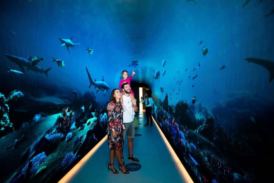 Dubai: The View At The Palm Observatory Entry Ticket - Who will enjoy this most?