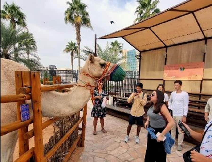 Dubai: Top Must-See Sights Tour with Burj Khalifa At The Top - Palm Jumeirah and Atlantis
