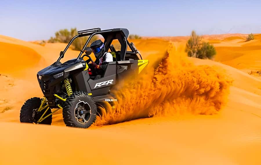 Dubai: Tour with BBQ Dinner, Camel Ride, & Traditional Show - The camel ride and falcon photograph