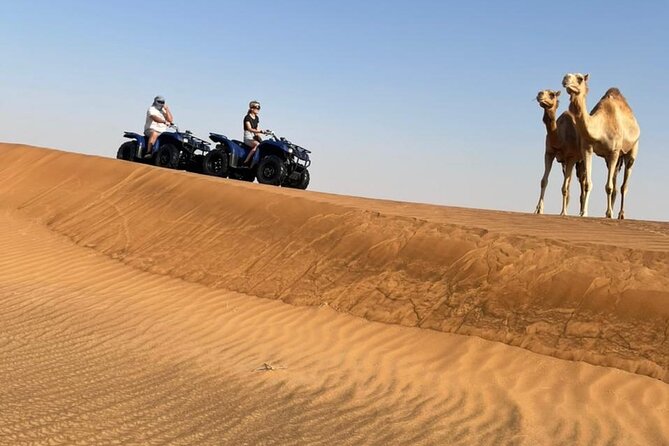 Dubai: Unique MORNING 4WD Red Dunes Safari incl. 30min Quad Bike - Forty-five minutes of dune bashing