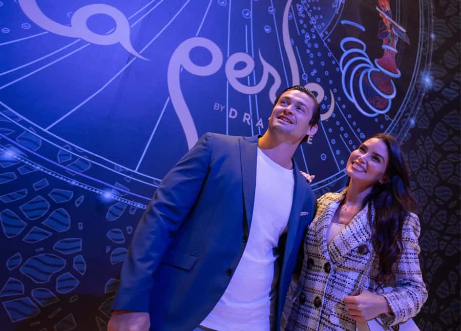 Dubai: Water Canal Cruise and La Perle Show with Dinner - Who should book this experience
