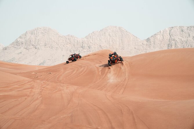 Dune Buggy Experience and Dinner at Mleiha Archaeological Center - One hour behind the wheel of a two-seater buggy