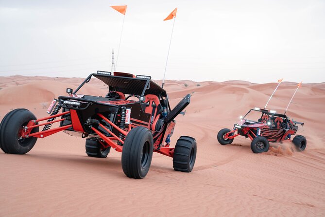 Dune Buggy Experience and Dinner at Mleiha Archaeological Center - Starting with camels at Zerzura
